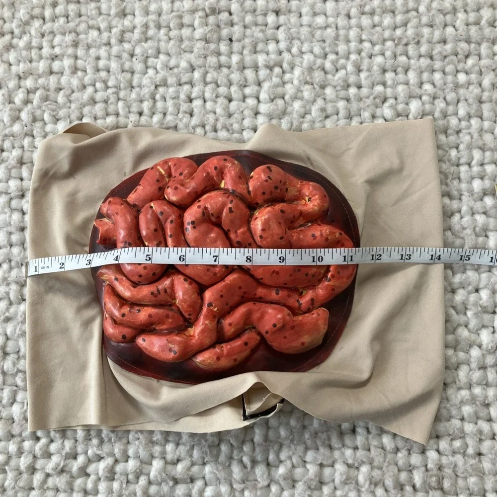 Halloween Fake Severed Body Parts Organs Intestine Wrap‎ Dead Zombie Creepy